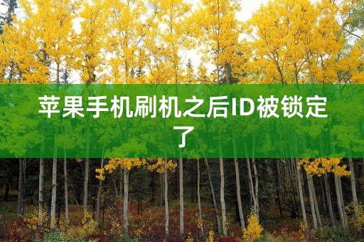 苹果手机刷机之后ID被锁定了