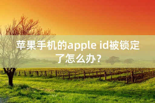 苹果手机的apple id被锁定了怎么办？