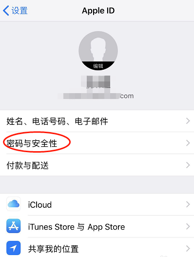 苹果手机怎么查自己的id的密码