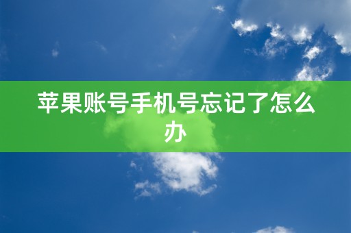 苹果账号手机号忘记了怎么办