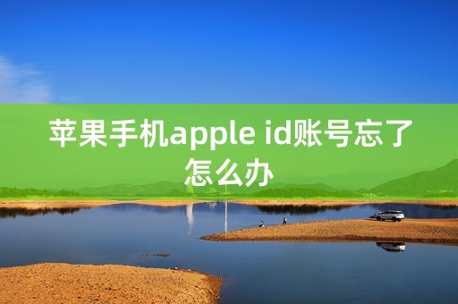 苹果手机apple id账号忘了怎么办