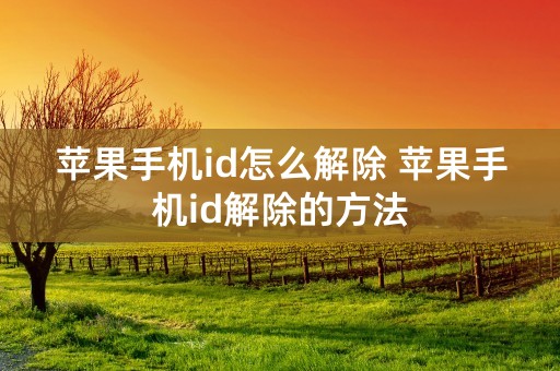 苹果手机id怎么解除 苹果手机id解除的方法