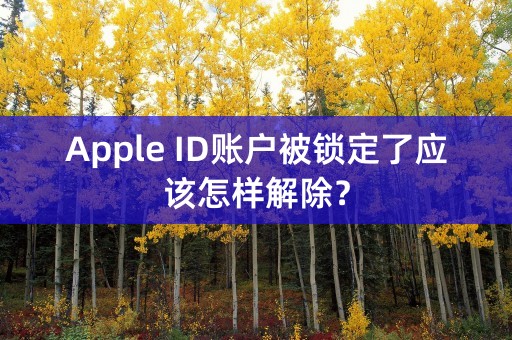 Apple ID账户被锁定了应该怎样解除？