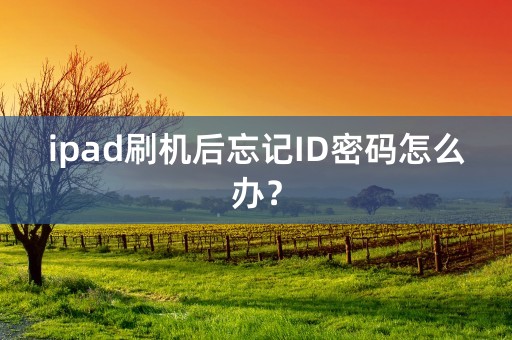 ipad刷机后忘记ID密码怎么办？