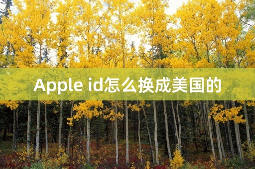 Apple id怎么换成美国的