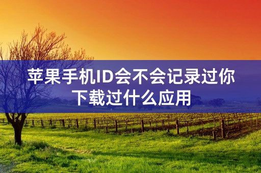 苹果手机ID会不会记录过你下载过什么应用