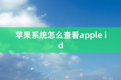 苹果系统怎么查看apple id