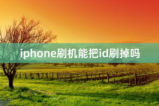 iphone刷机能把id刷掉吗