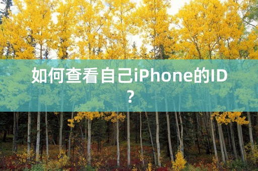 如何查看自己iPhone的ID？