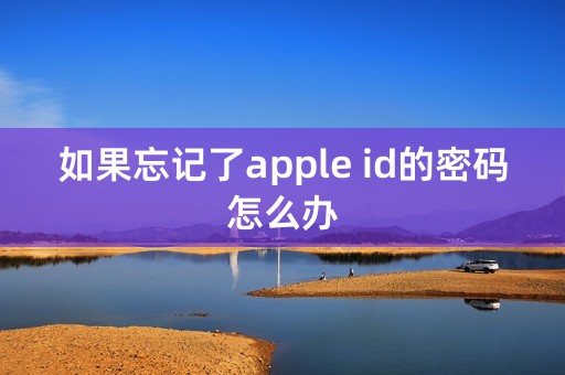 如果忘记了apple id的密码怎么办