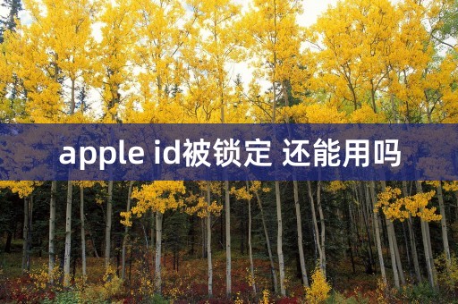 apple id被锁定 还能用吗