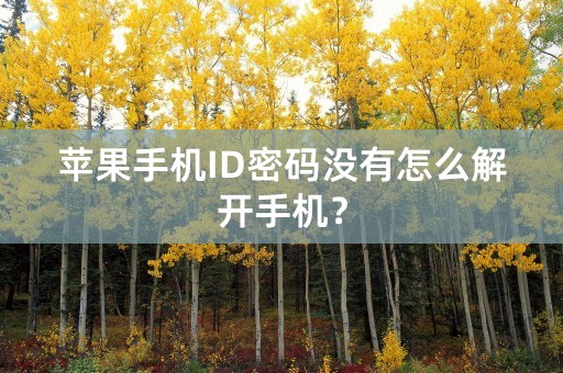 苹果手机ID密码没有怎么解开手机？