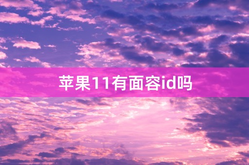 苹果11有面容id吗