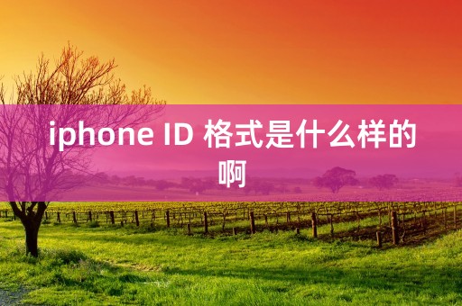 iphone ID 格式是什么样的啊