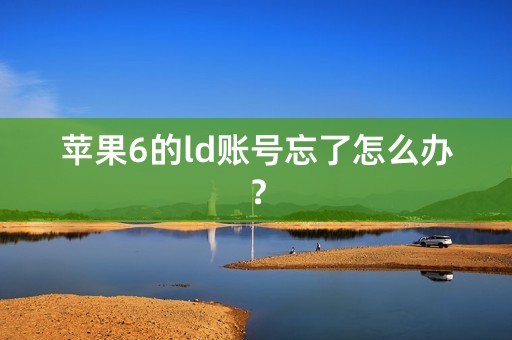 苹果6的ld账号忘了怎么办？