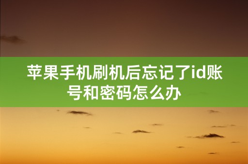 苹果手机刷机后忘记了id账号和密码怎么办