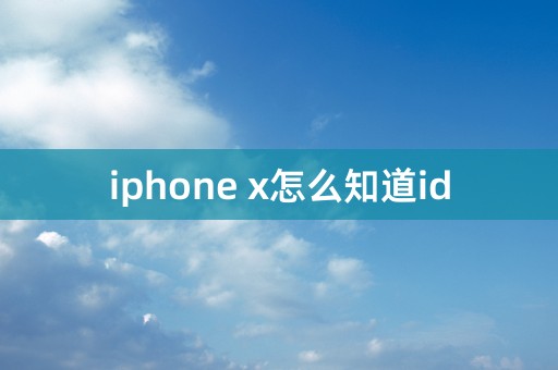 iphone x怎么知道id