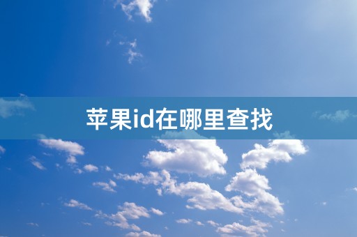 苹果id在哪里查找