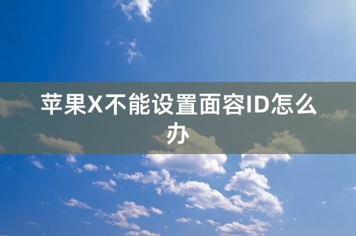 苹果X不能设置面容ID怎么办