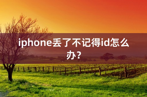 iphone丢了不记得id怎么办？