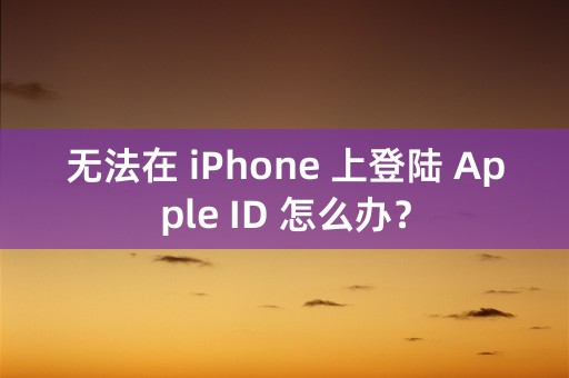 无法在 iPhone 上登陆 Apple ID 怎么办？