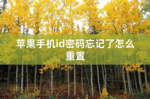 苹果手机id密码忘记了怎么重置