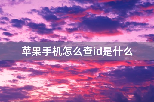 苹果手机怎么查id是什么