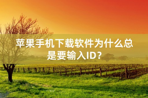 苹果手机下载软件为什么总是要输入ID？