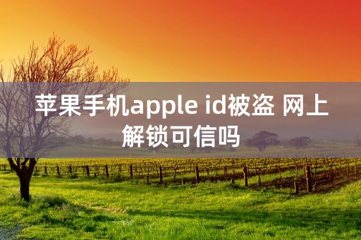 苹果手机apple id被盗 网上解锁可信吗