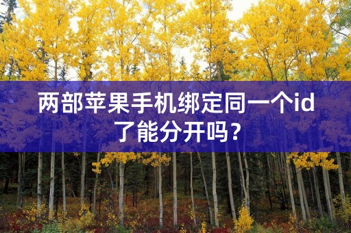 两部苹果手机绑定同一个id了能分开吗？