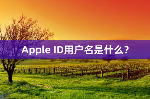 Apple ID用户名是什么？