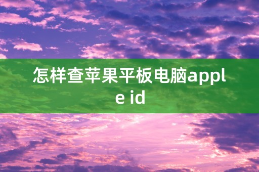 怎样查苹果平板电脑apple id