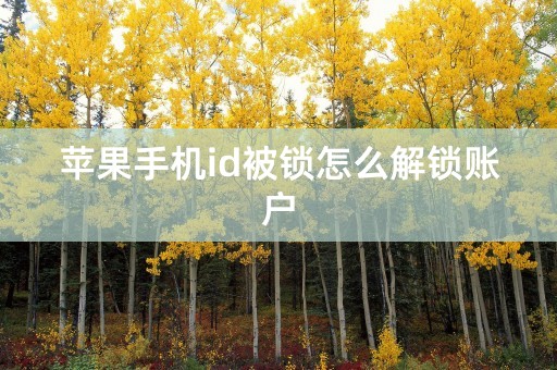 苹果手机id被锁怎么解锁账户