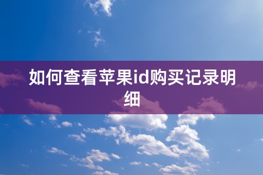 如何查看苹果id购买记录明细