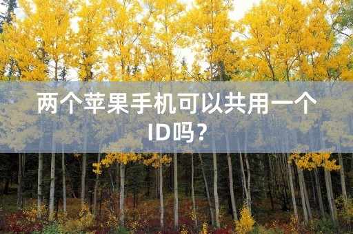 两个苹果手机可以共用一个ID吗？