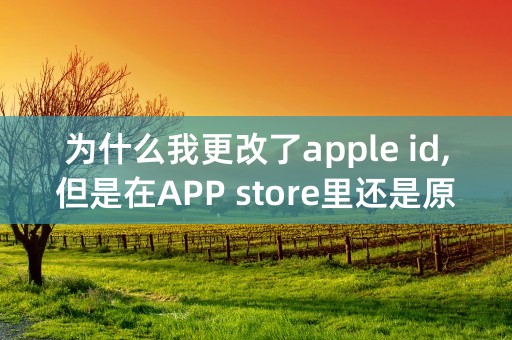 为什么我更改了apple id,但是在APP store里还是原来的用户名？