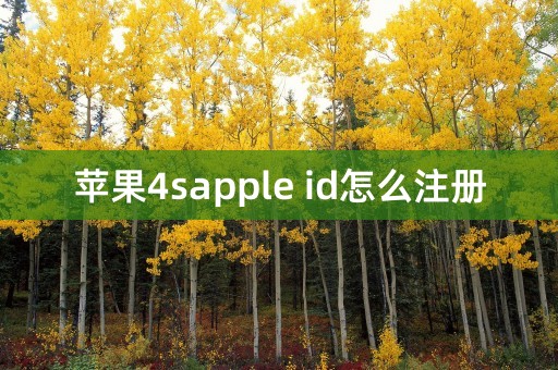 苹果4sapple id怎么注册