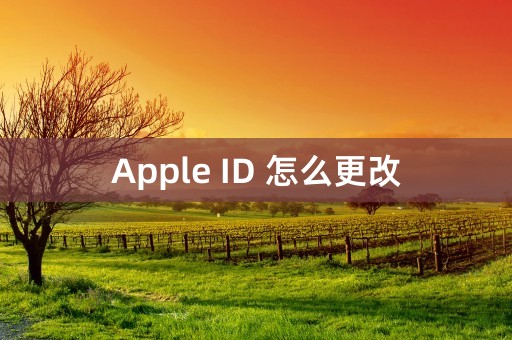 Apple ID 怎么更改