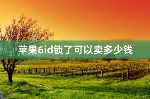 苹果6id锁了可以卖多少钱