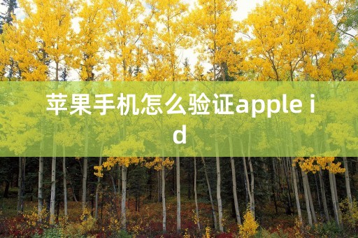 苹果手机怎么验证apple id