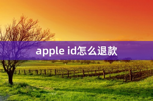 apple id怎么退款