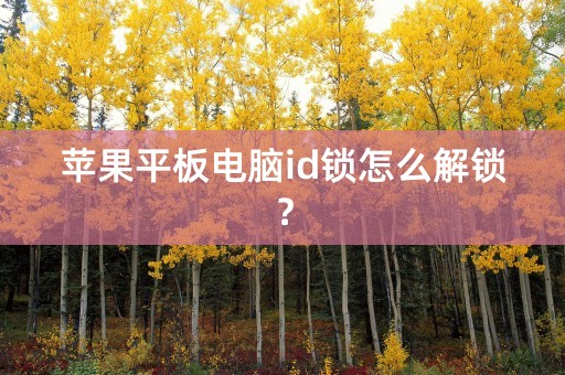 苹果平板电脑id锁怎么解锁？