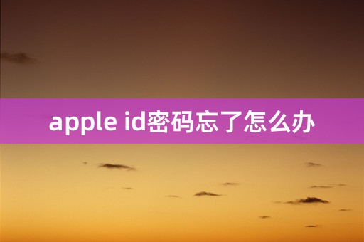 apple id密码忘了怎么办