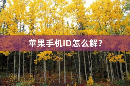 苹果手机ID怎么解？