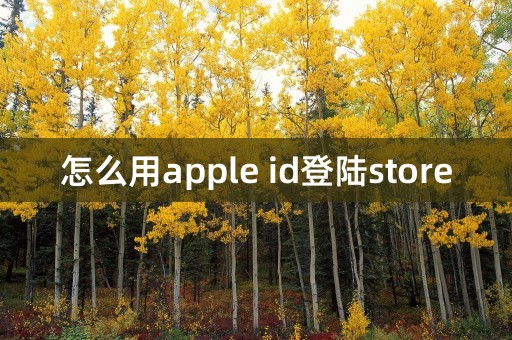 怎么用apple id登陆store