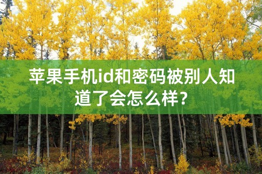 苹果手机id和密码被别人知道了会怎么样？