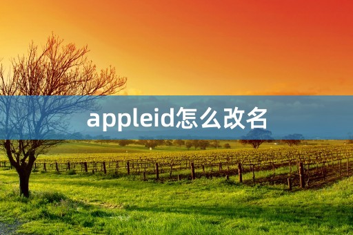 appleid怎么改名