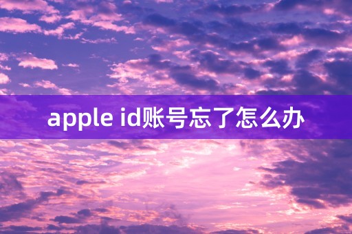 apple id账号忘了怎么办