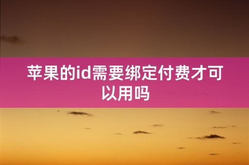 苹果的id需要绑定付费才可以用吗