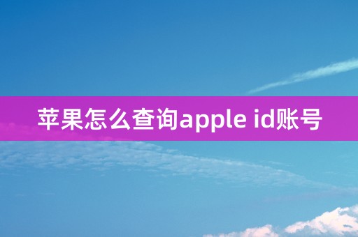 苹果怎么查询apple id账号